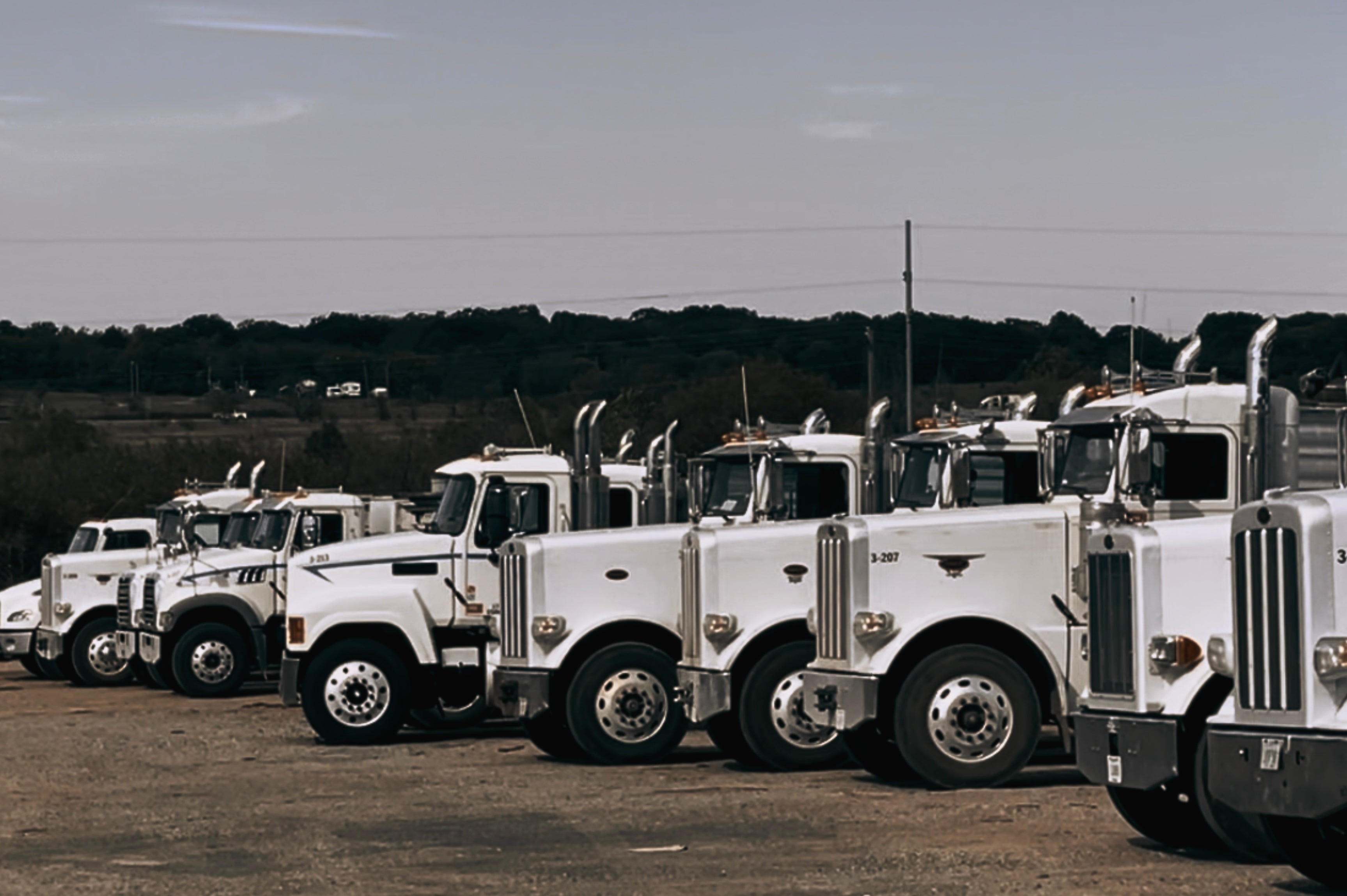 Row of parked fleet vehicles